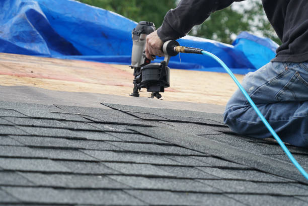 Best Roof Insulation Installation  in Minerva Park, OH